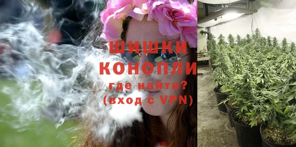 круглые Абаза