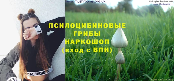 круглые Абаза