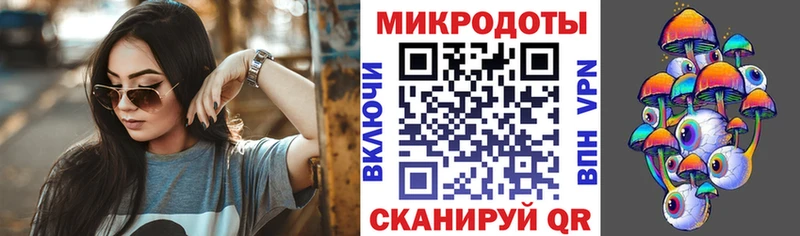 наркотики  Кадников  Галлюциногенные грибы прущие грибы 